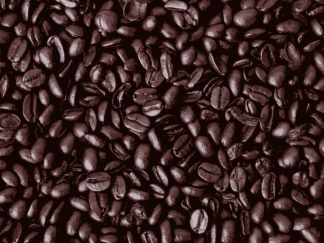 Coopérative Just Us! Coffee Roasters - Un plan de marketing pour la division des cafés-bistrots