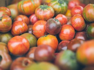 Benamor et la conserve de tomates en Algérie : dynamique entrepreneuriale et développement agricole et rural