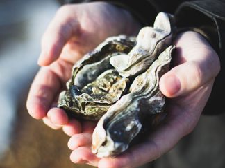 Entrepreneurship in the Chesapeake Bay Oyster Industry